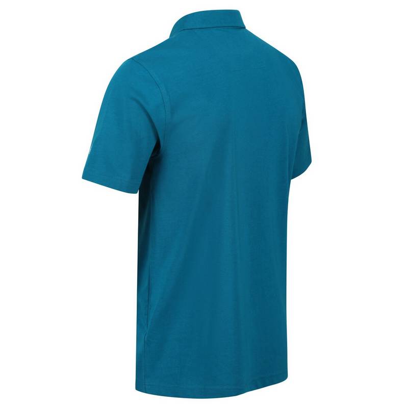 Regatta Sinton Poloshirt Herren