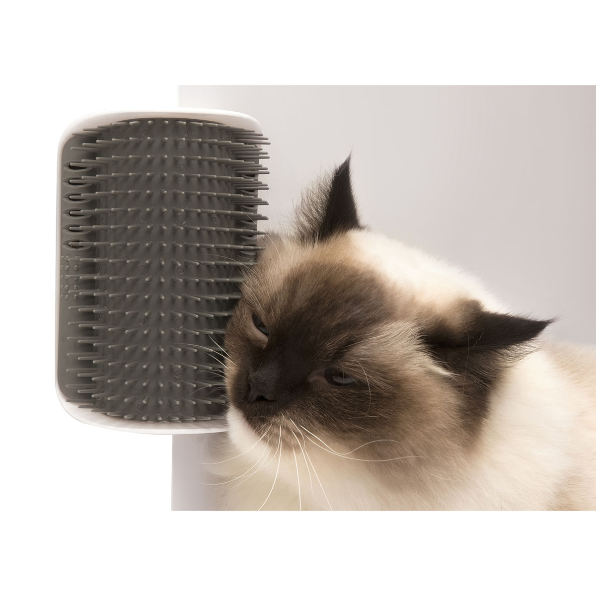 Catit Senses 2.0 Self Groomer - Massage-Ecke kaufen