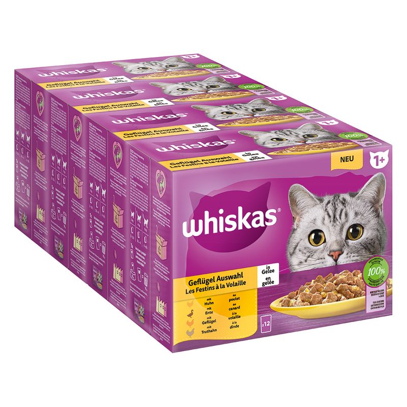 Jumbopack Whiskas 1+ Adult Frischebeutel 144 x 85 g