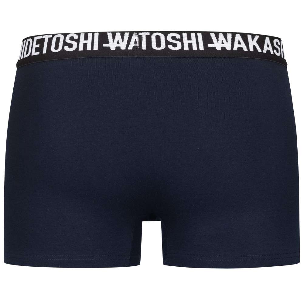 HIDETOSHI WAKASHIMA 