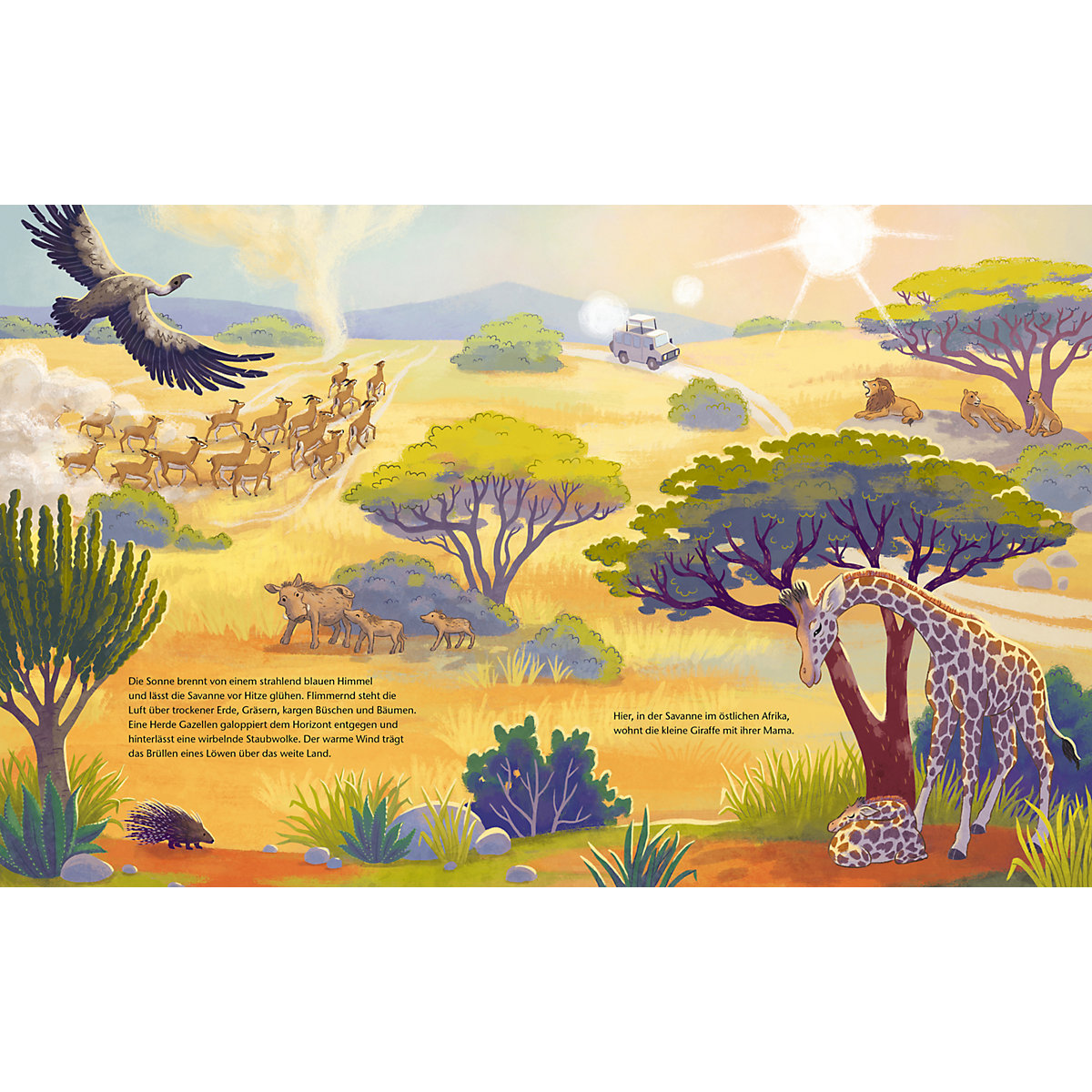 Die kleine Giraffe - Zu Hause in der Savanne