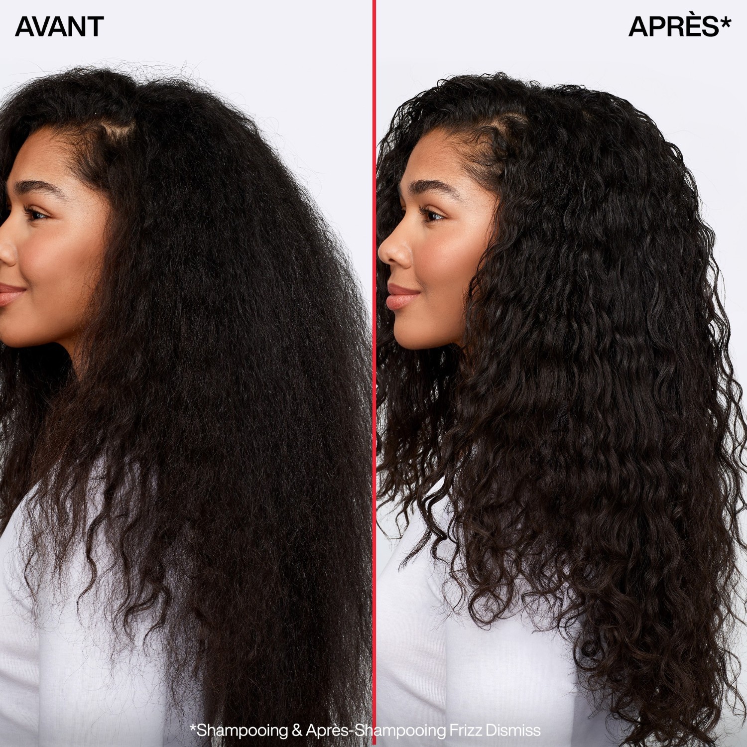 Redken Frizz Dismiss