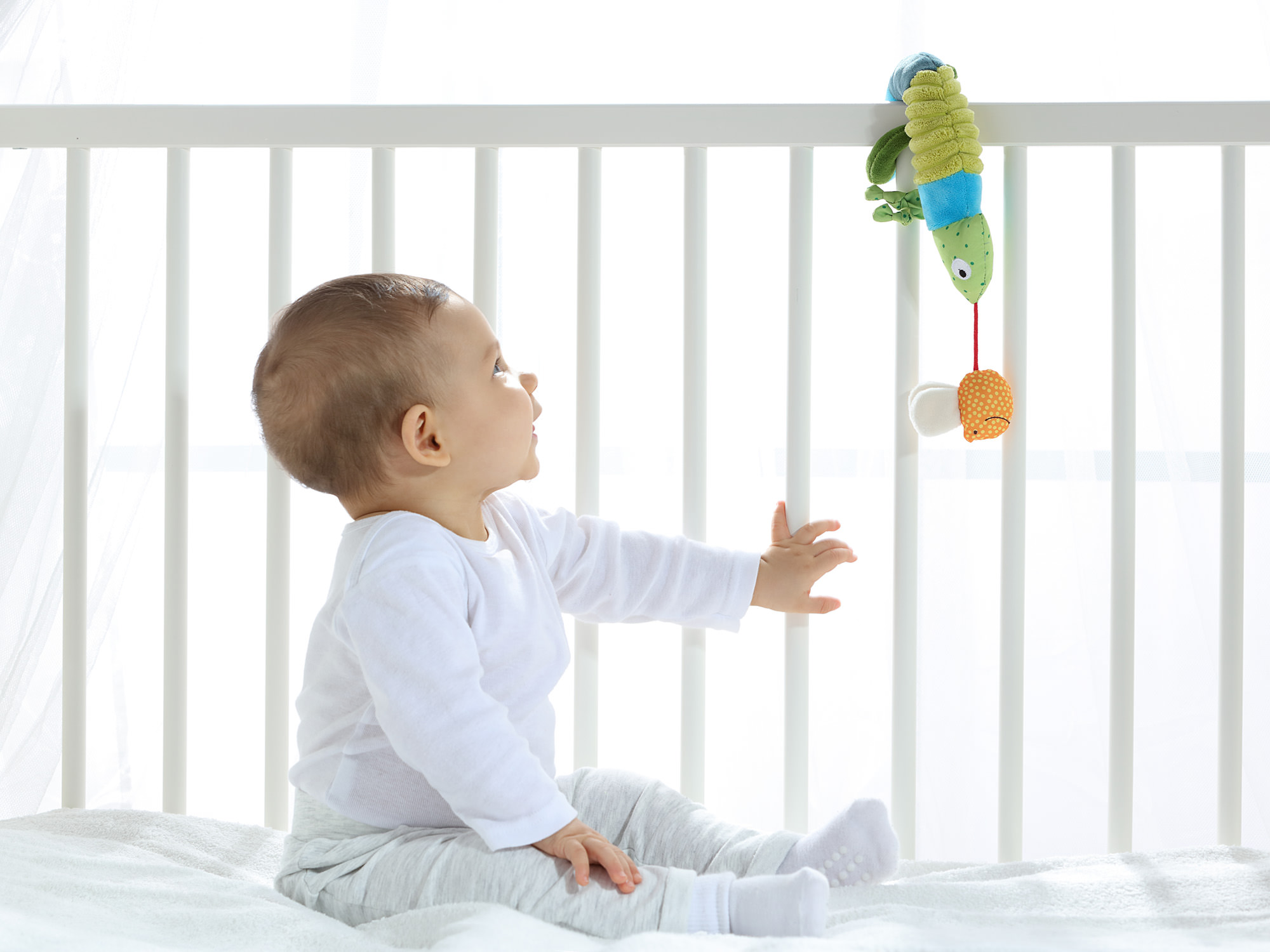 Anhänger Babyschale Chamäleon