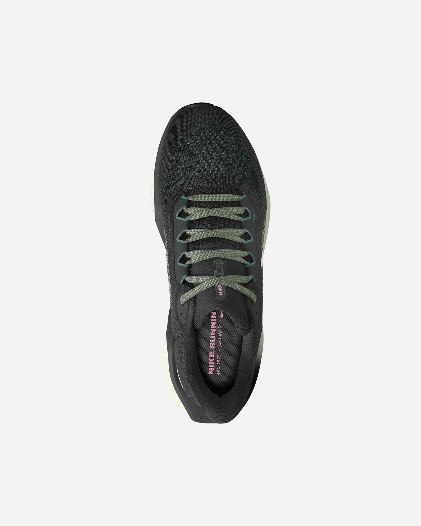 Scarpe Running Nike Pegasus 41 W FD2723-009