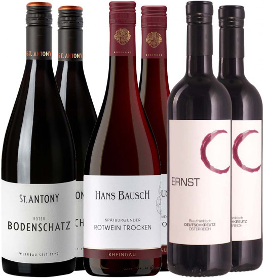 Red-Wine-Trip trocken - Weingut St. Antony