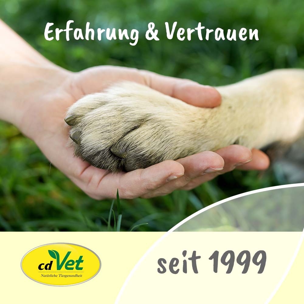 insektoVet Floh- & Zeckenmittel insektoVet ZeckEx Spray 500 ml