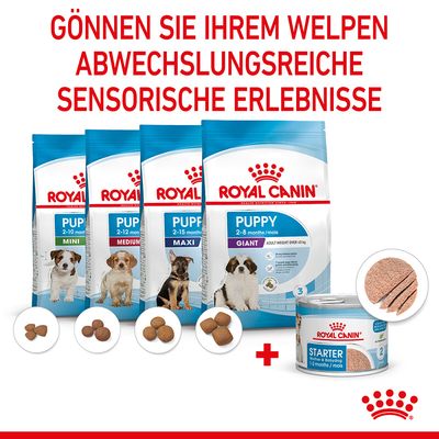 Royal Canin Starter Mother & Babydog Ultra Soft Mousse