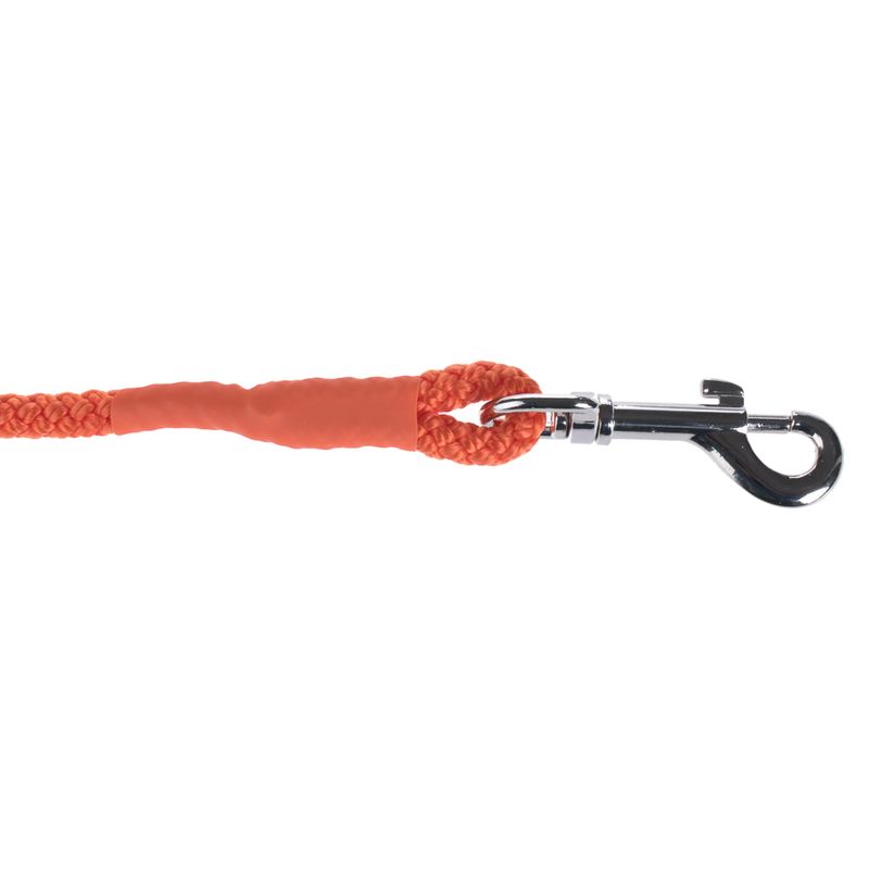 Heim Feldleine Orange zu TOP-Preisen