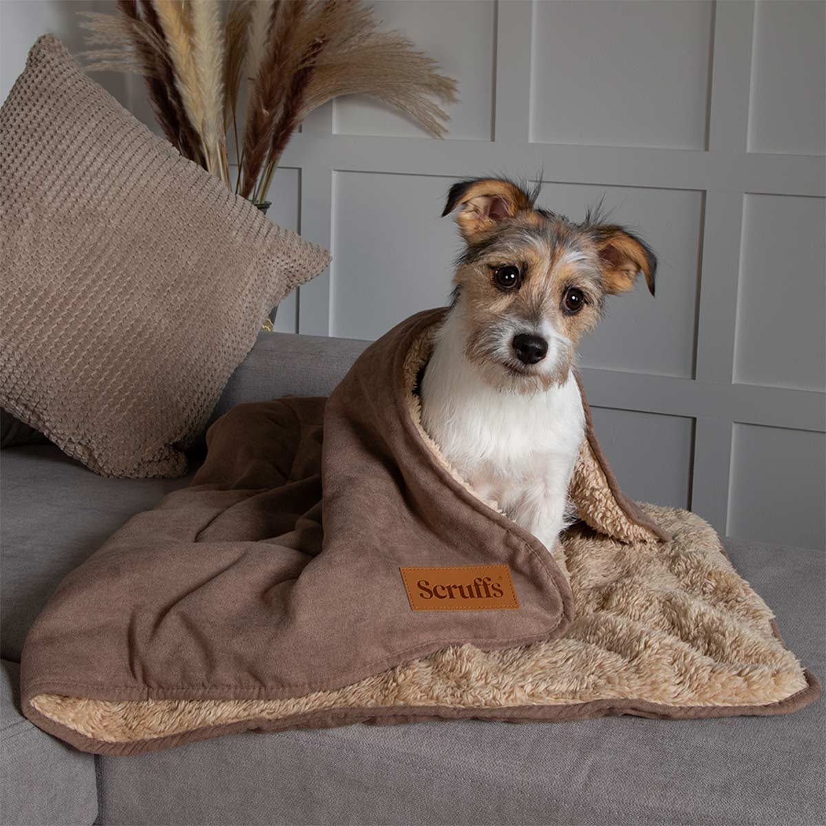Scruffs Hundedecke Cosy Blanket günstig kaufen bei ZooRoyal