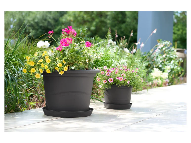 Vaso para plantas PARKSIDE® com plantas ornamentais, 28 cm
