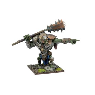 Orcs Troll Bruiser
