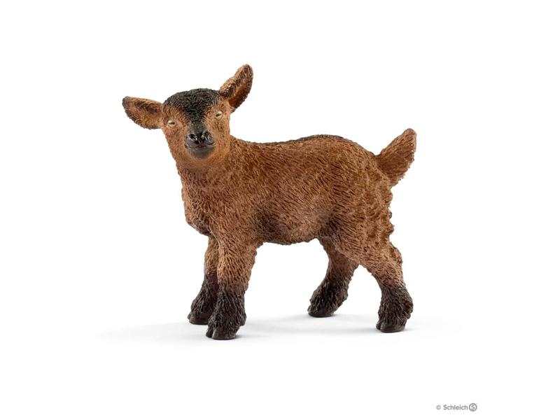 Chevreau