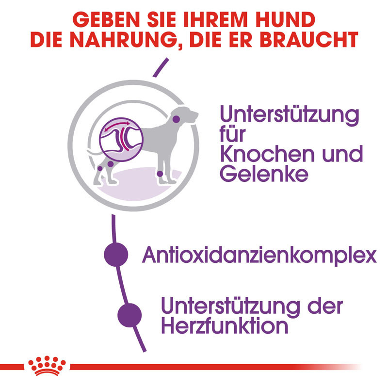 ROYAL CANIN Hundetrockenfutter ROYAL CANIN Giant Adult 2x15 kg
