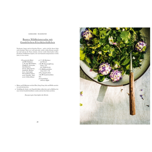 DAS WALD-KOCHBUCH