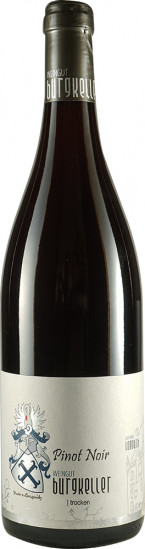 2019 Spätburgunder Pinot Noir trocken - Weingut Burgkeller