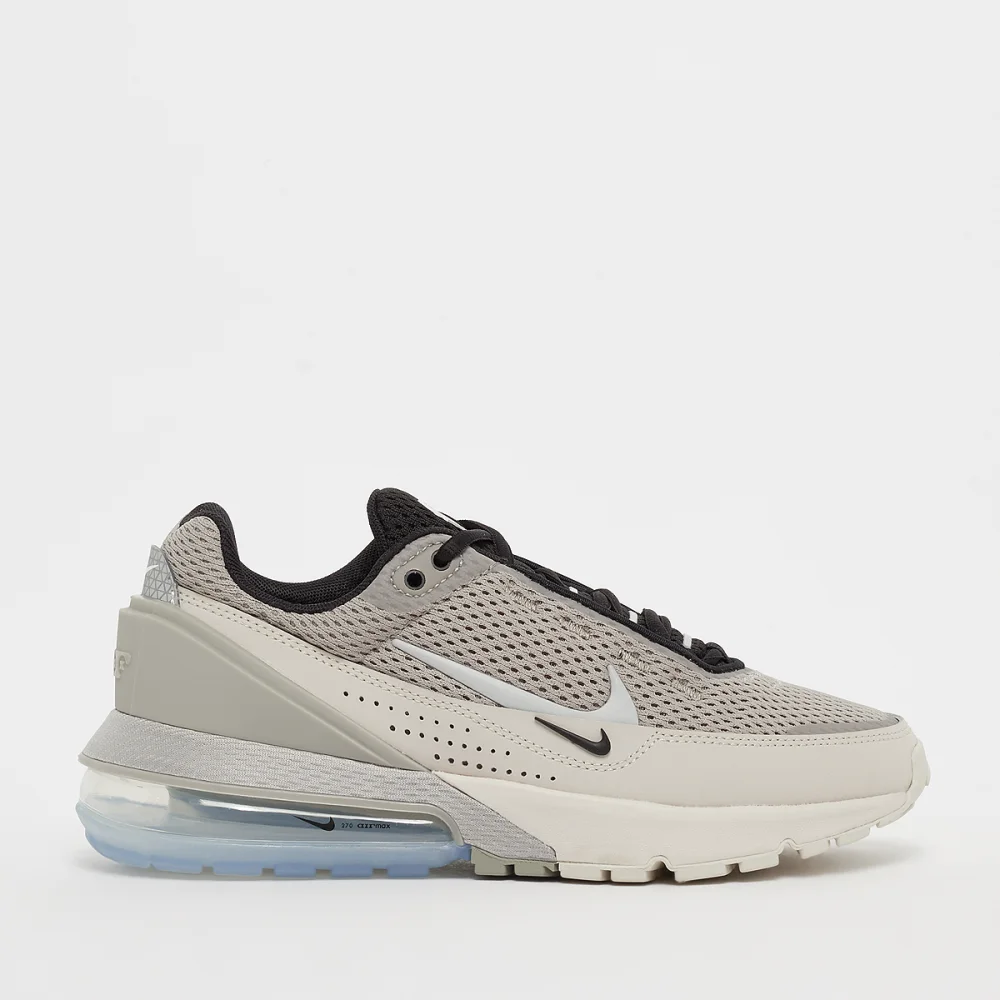 Nike Air Max Pulse FD6409-002 / grau