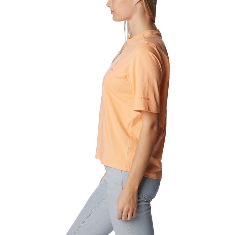 Columbia North Cascades T-Shirt Damen