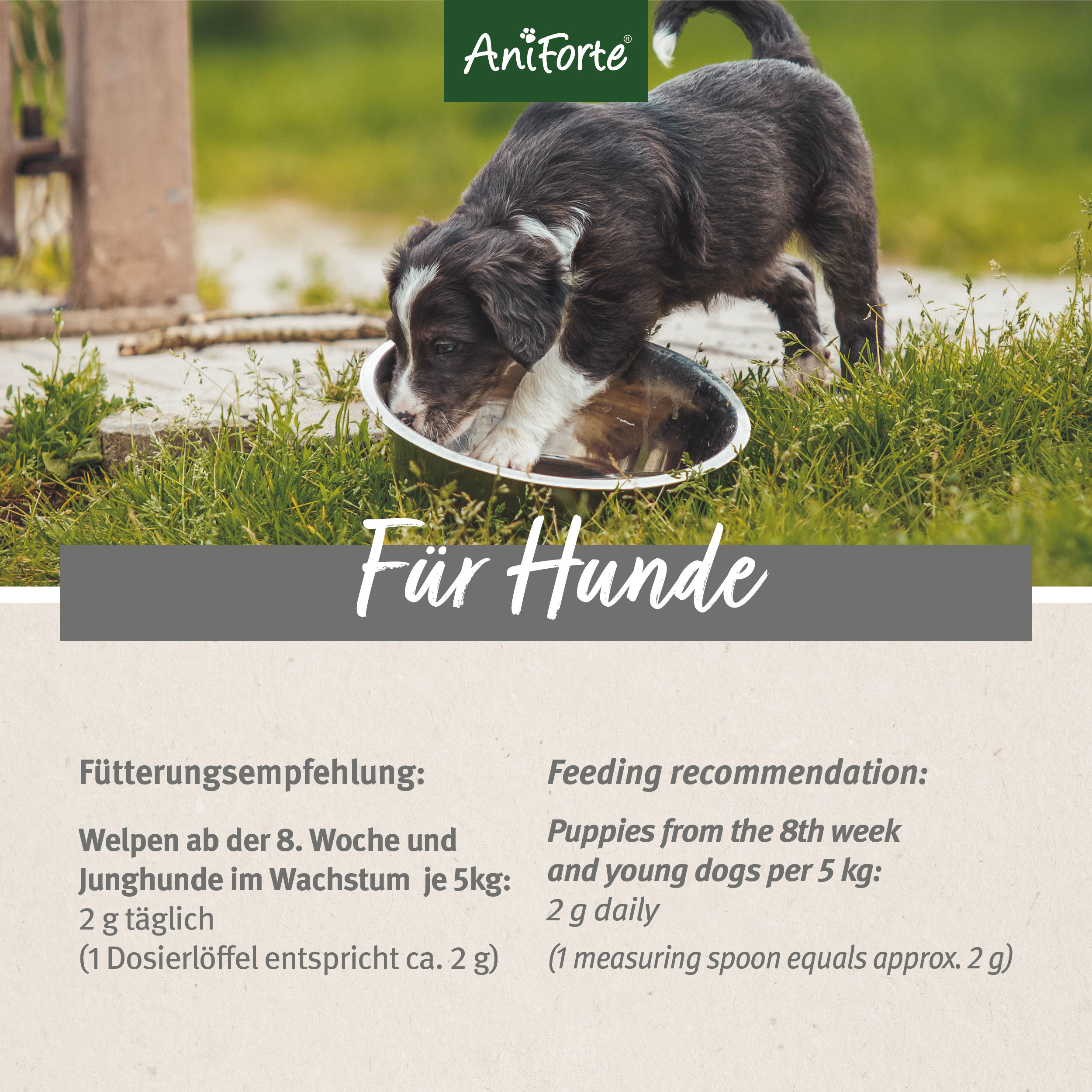 Aniforte Ergänzungsfutter & Aufzucht Aniforte Junior Active 250 g