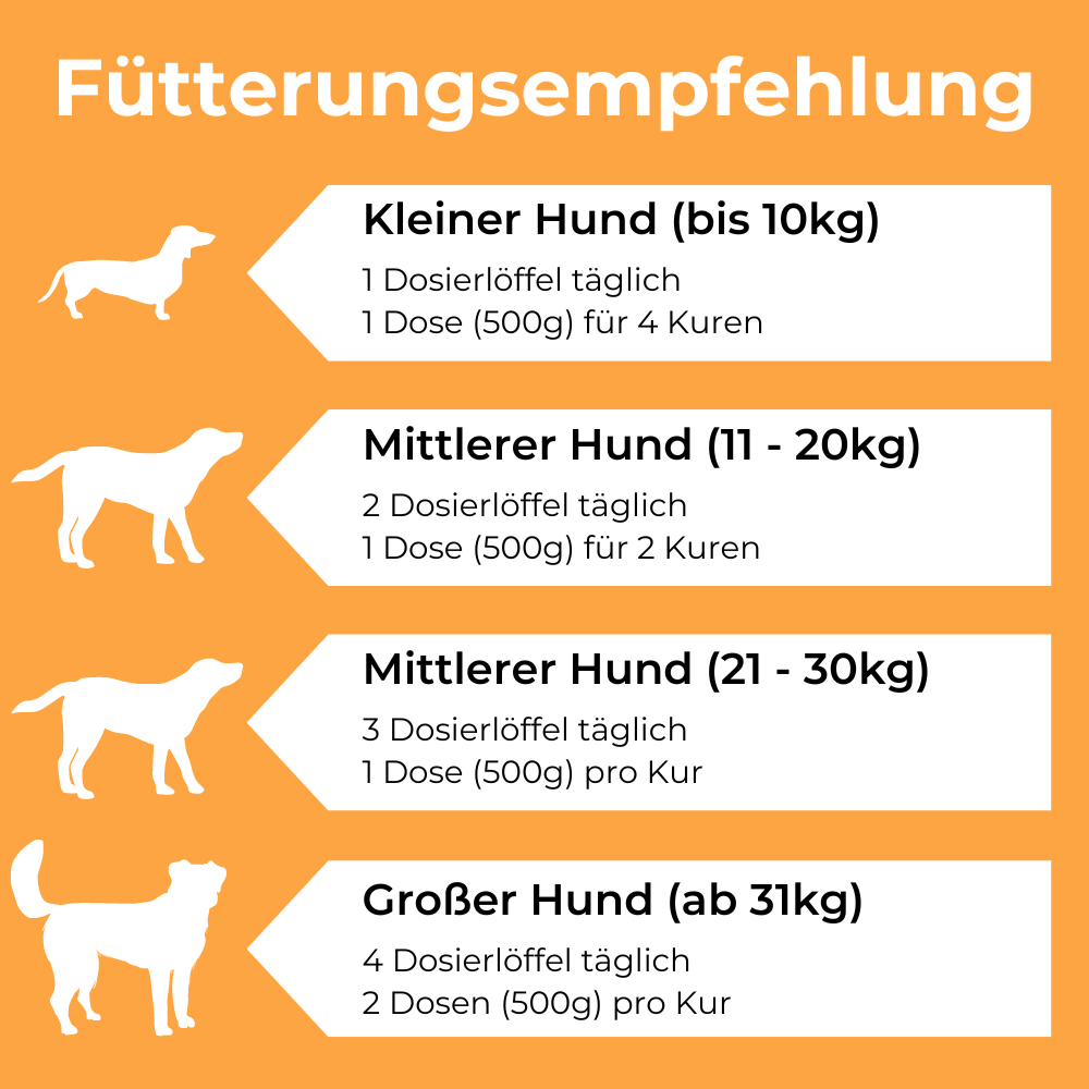 Dog-Native Ergänzungsfutter & Aufzucht Dog-Native Teufelskralle Pulver für Hunde, aus Namibia (1,3% Harpagosid), 500g