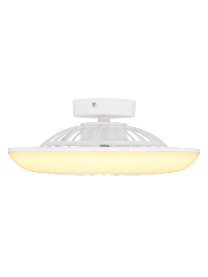 Globo lighting Deckenventilator 