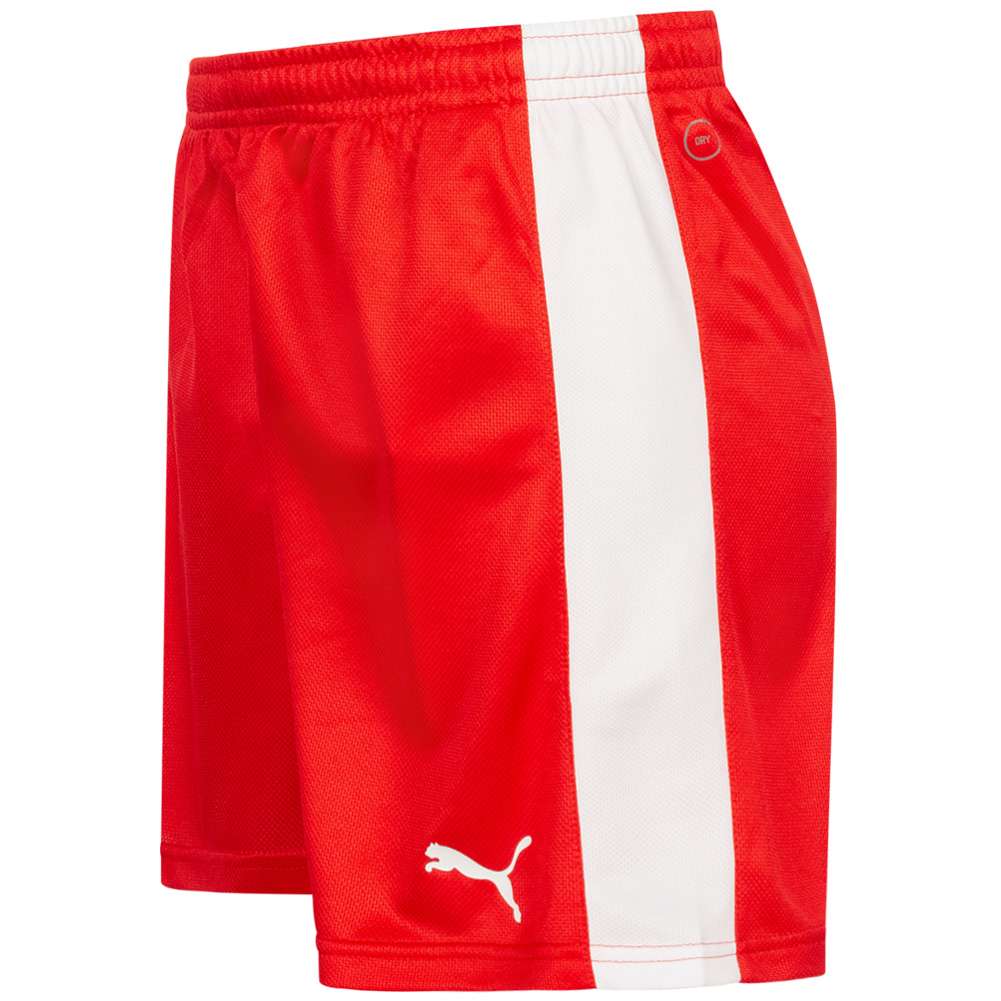 DHF Dänemark PUMA Damen Handball Shorts 750674-01