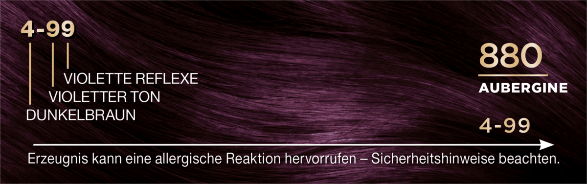 Haarfarbe 880 Aubergine, 1 St