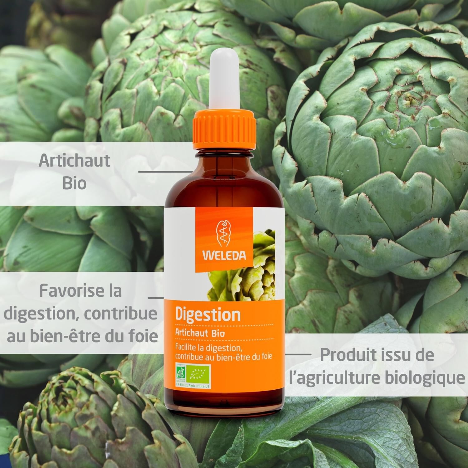 Weleda EPB® Artichaut Bio Digestion - Complément Alimentaire Naturel - 60 ml