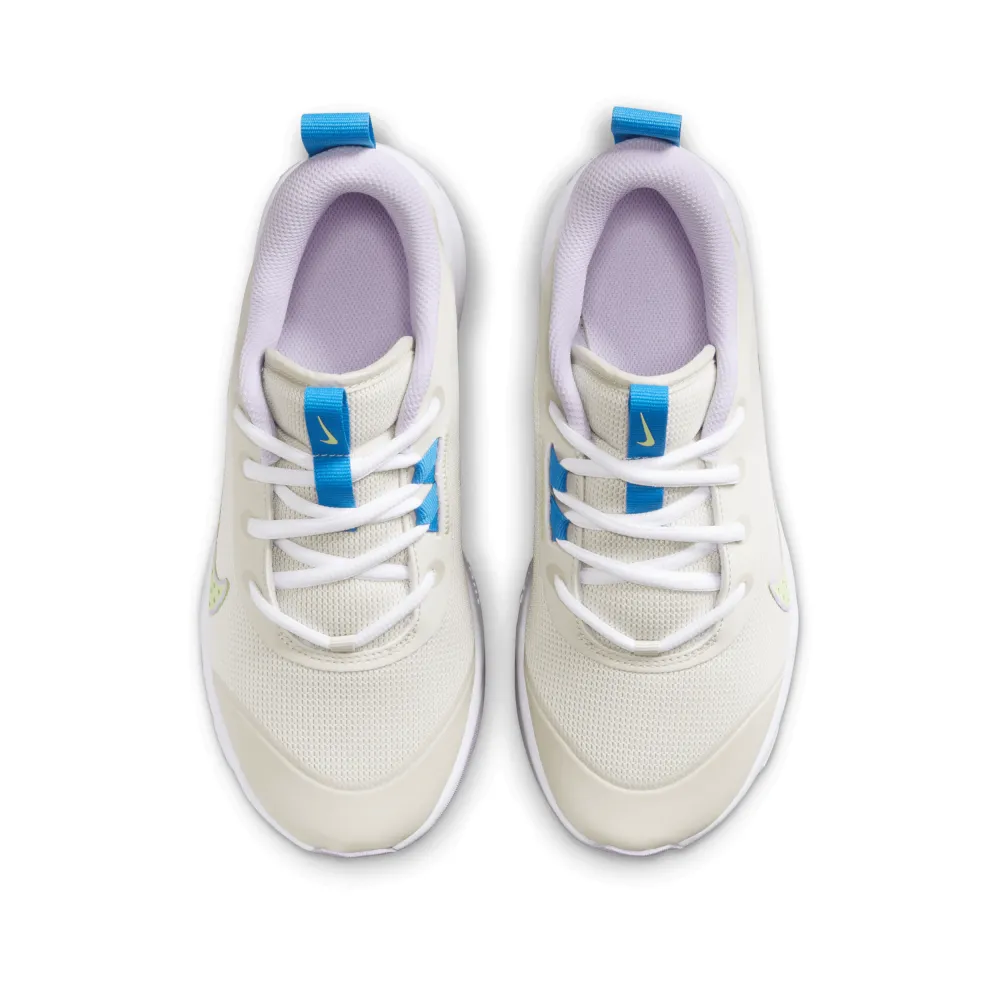 Nike Omni Multi Court DM9027-106 / braun