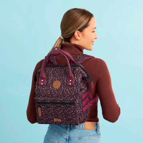 Adventurer Small Backpack Lausanne Raspberry