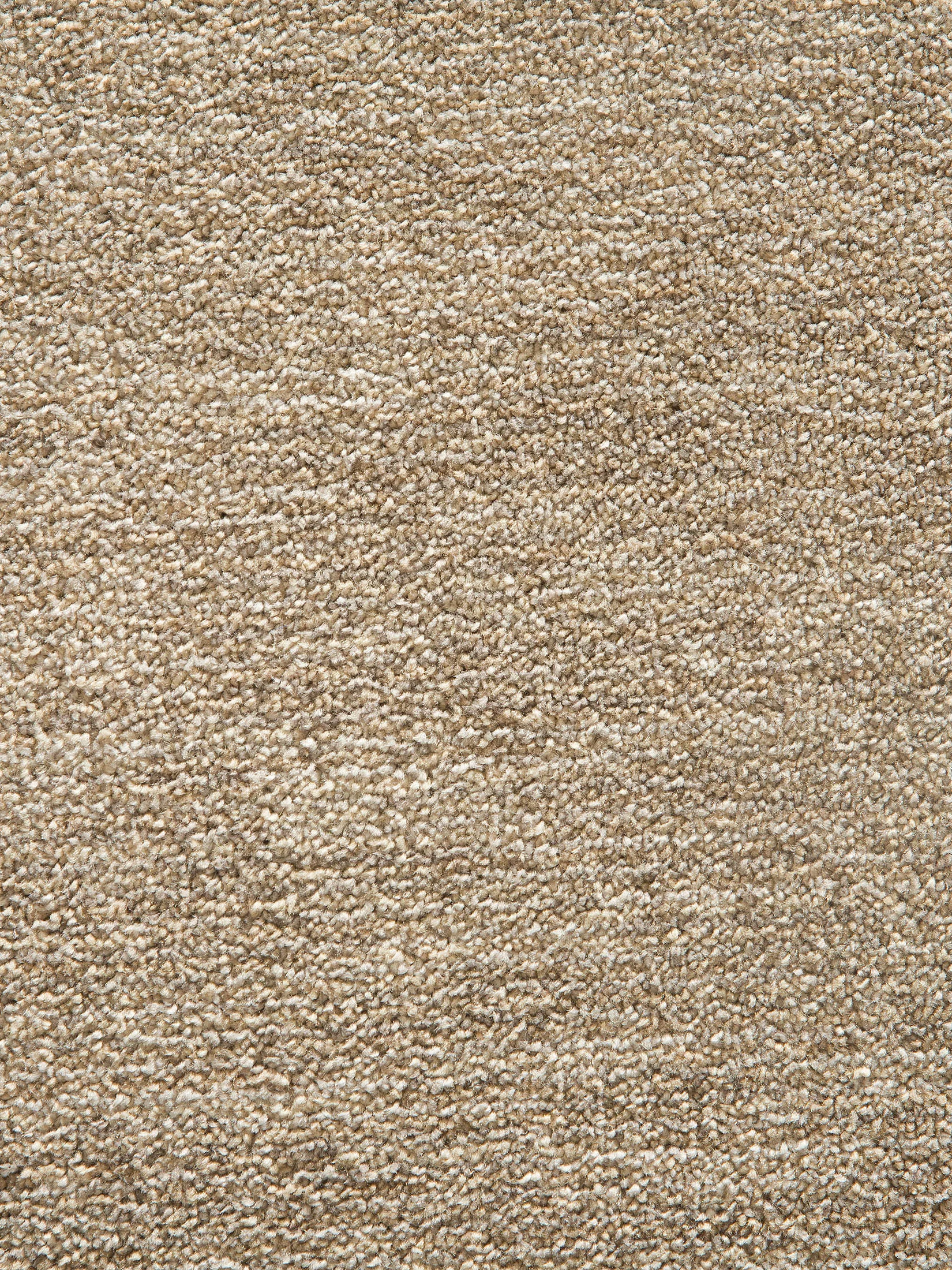 Barinas Hochflor-Teppich, Sand