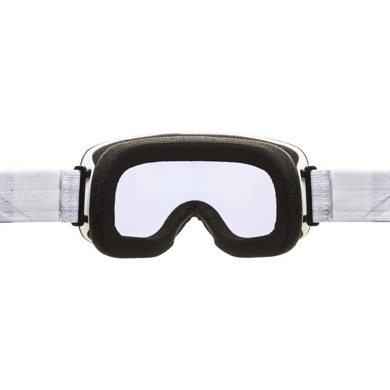 ALPINA Penken Skibrille