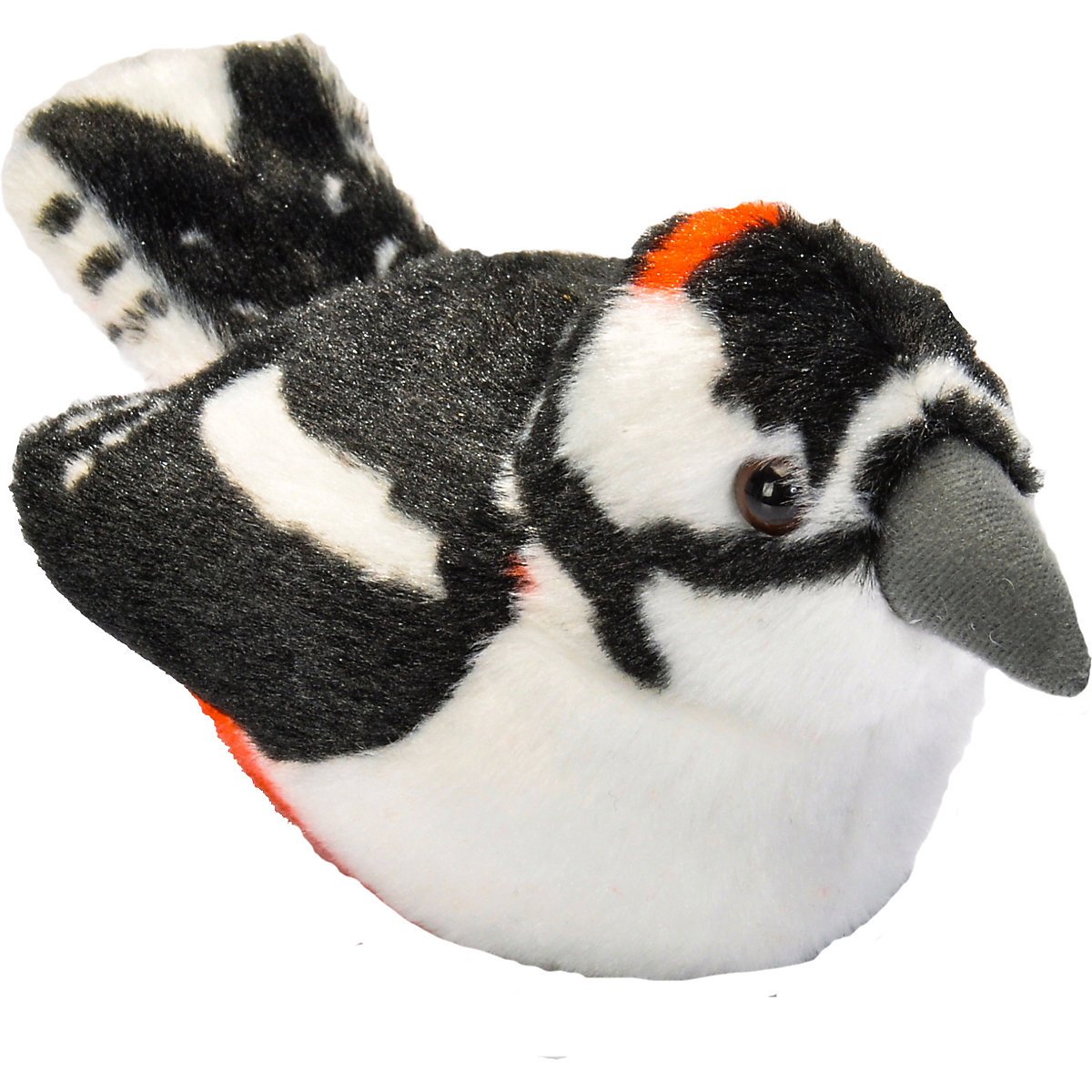 Singvogel Buntspecht