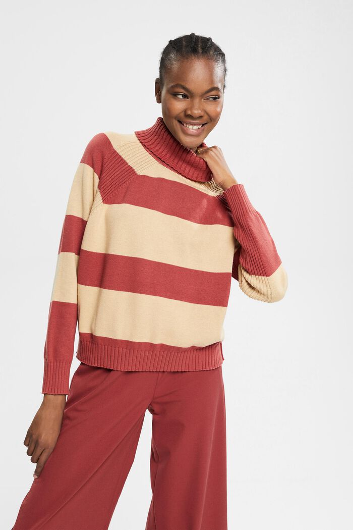 Pullover mit Rollkragen, 100% Baumwolle