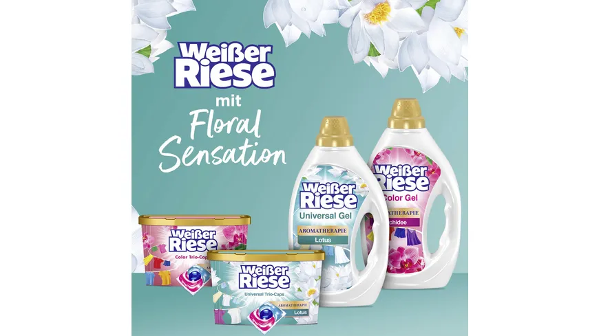 Weißer Riese Vollwaschmittel Universal Trio-Caps Floral Sensation Lotus 216 g