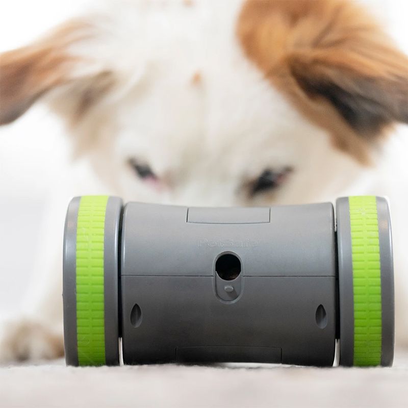 PetSafe Kibble Chase Selbstbewegendes Belohnungsspielzeug