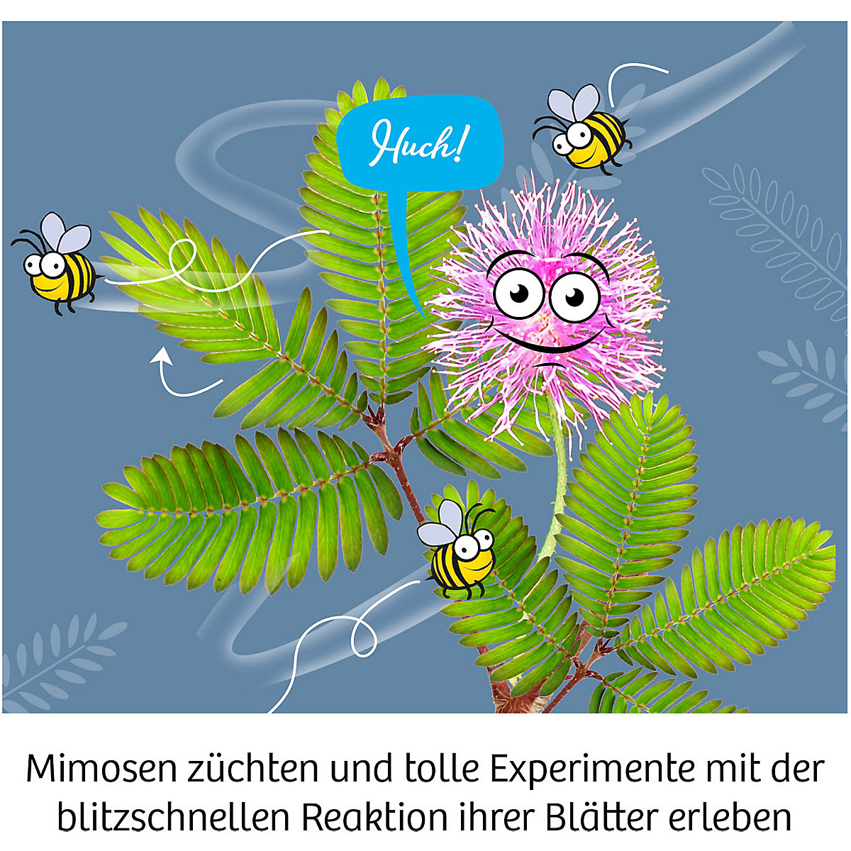 Mitbringexperiment Mimosen-Garten - Alarm auf deiner Fensterbank