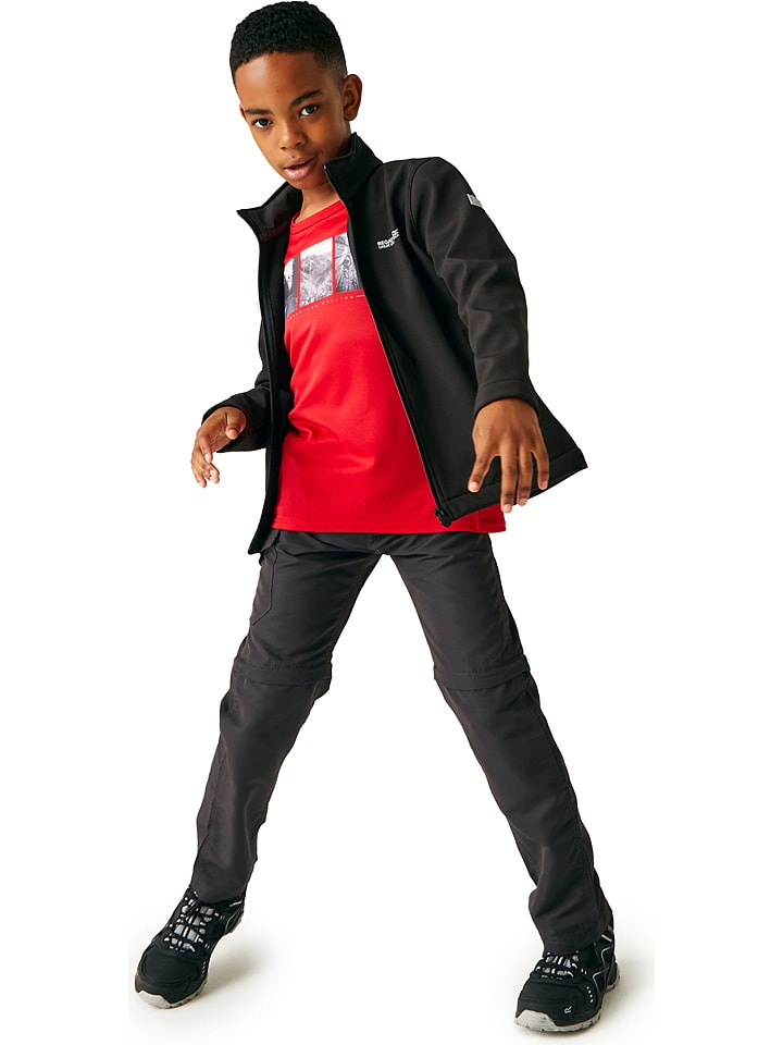 Regatta Softshelljacke 