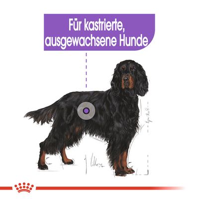 Royal Canin Maxi Sterilised