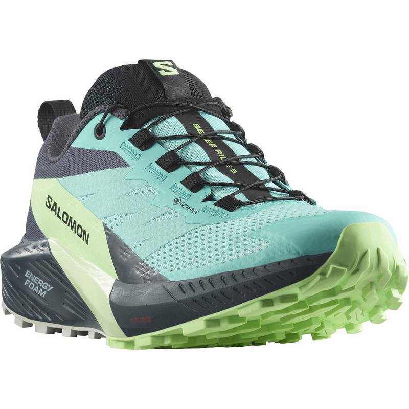 Salomon SENSE RIDE 5 Laufschuhe Damen