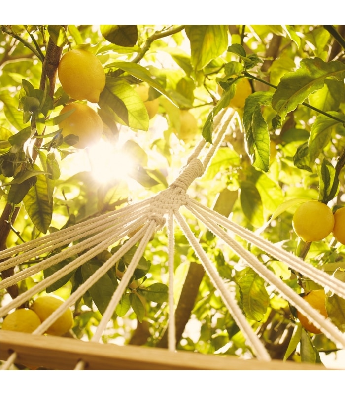 MAISON MARGIELA-REPLICA UNDER THE LEMON TREES-Eau de Toilette pétillante