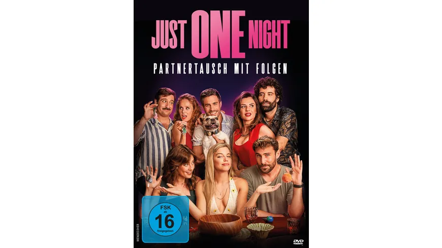 Just One Night - Partnertausch mit Folgen