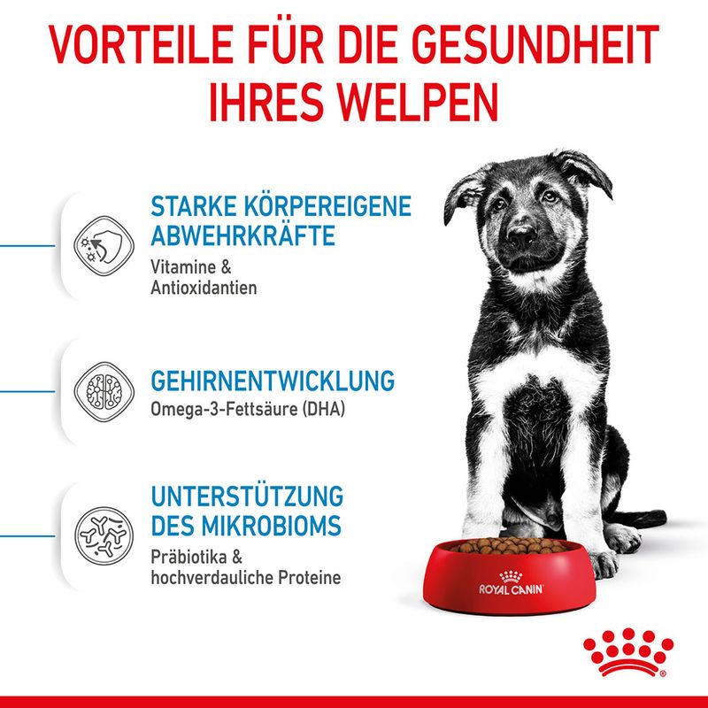 Royal Canin Maxi Puppy