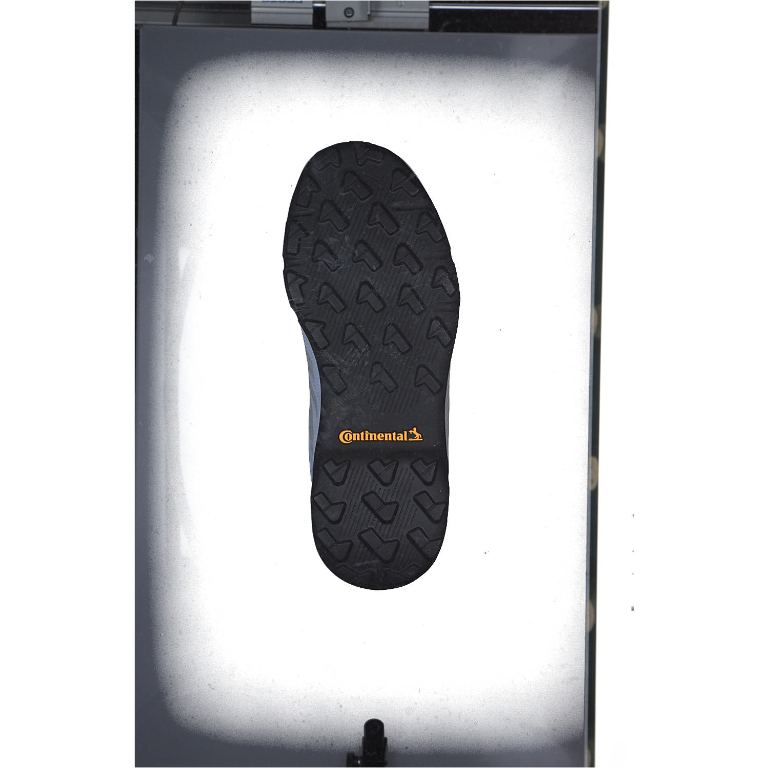 Adidas Terrex GTX K M, Trekkingschuhe, Kinder, bludaw/greone/sogold