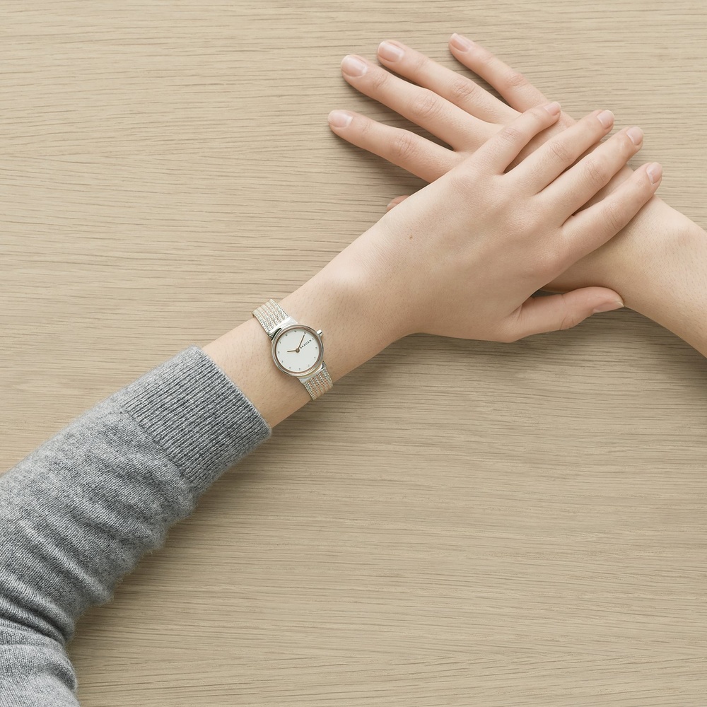 Skagen Montre pour femme Acier inoxydable Montre