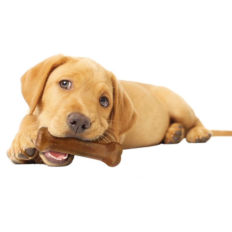 Nylabone Puppybone zu TOP-Preisen