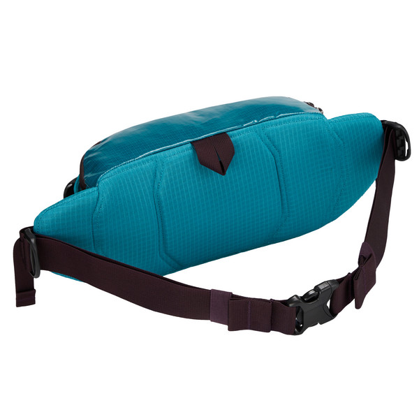 BLACK HOLE WAIST PACK 5L - Hüfttasche