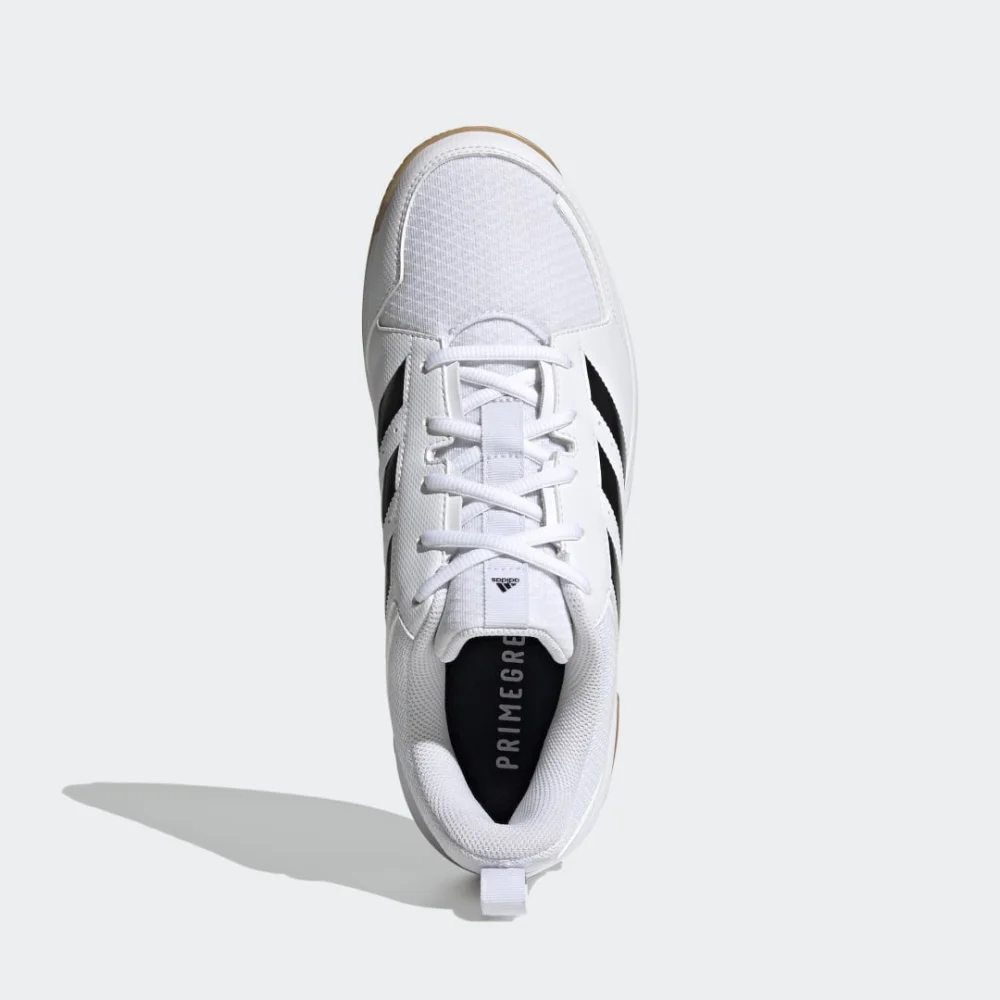 adidas Ligra 7 Indoor GZ0069 / weiss