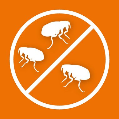 Ardap Insektenspray ARDAP® Flohspray zur Anwendung am Tier 250ml