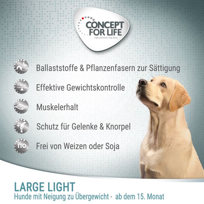 Concept for Life Large Light