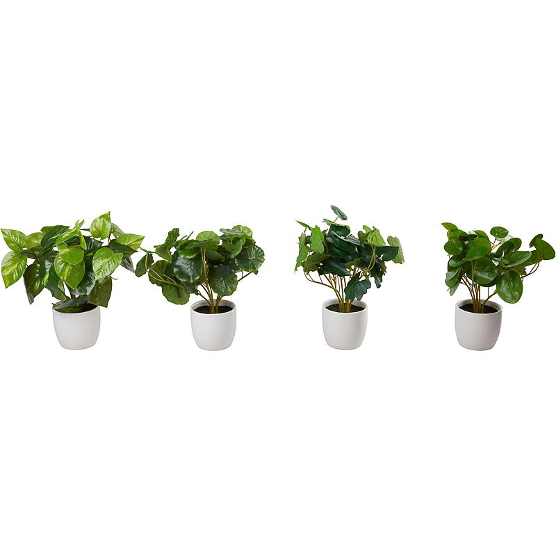 Home Grønnplante 25 cm i porselenspotte